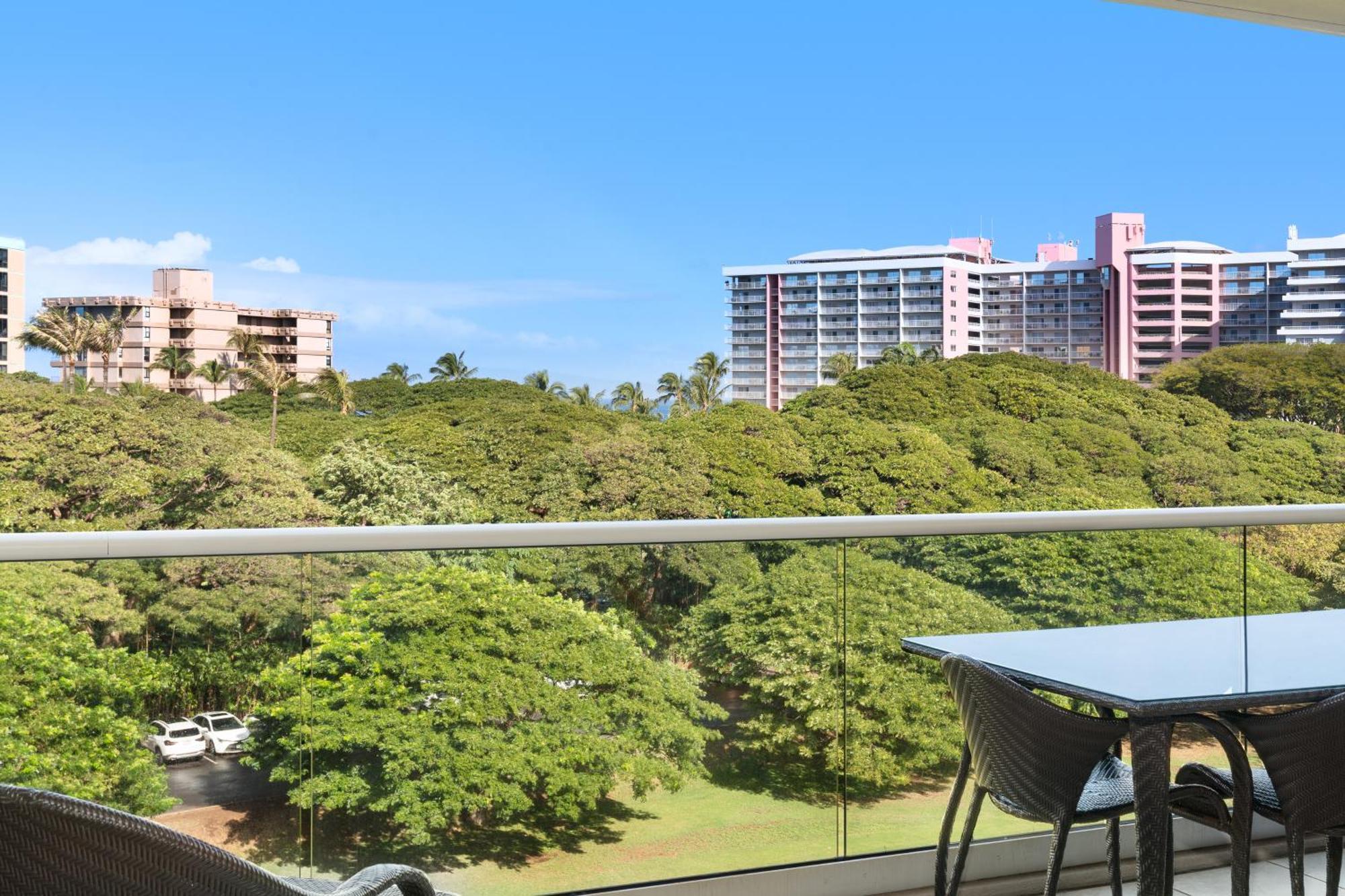1 Bedroom Resort View Den