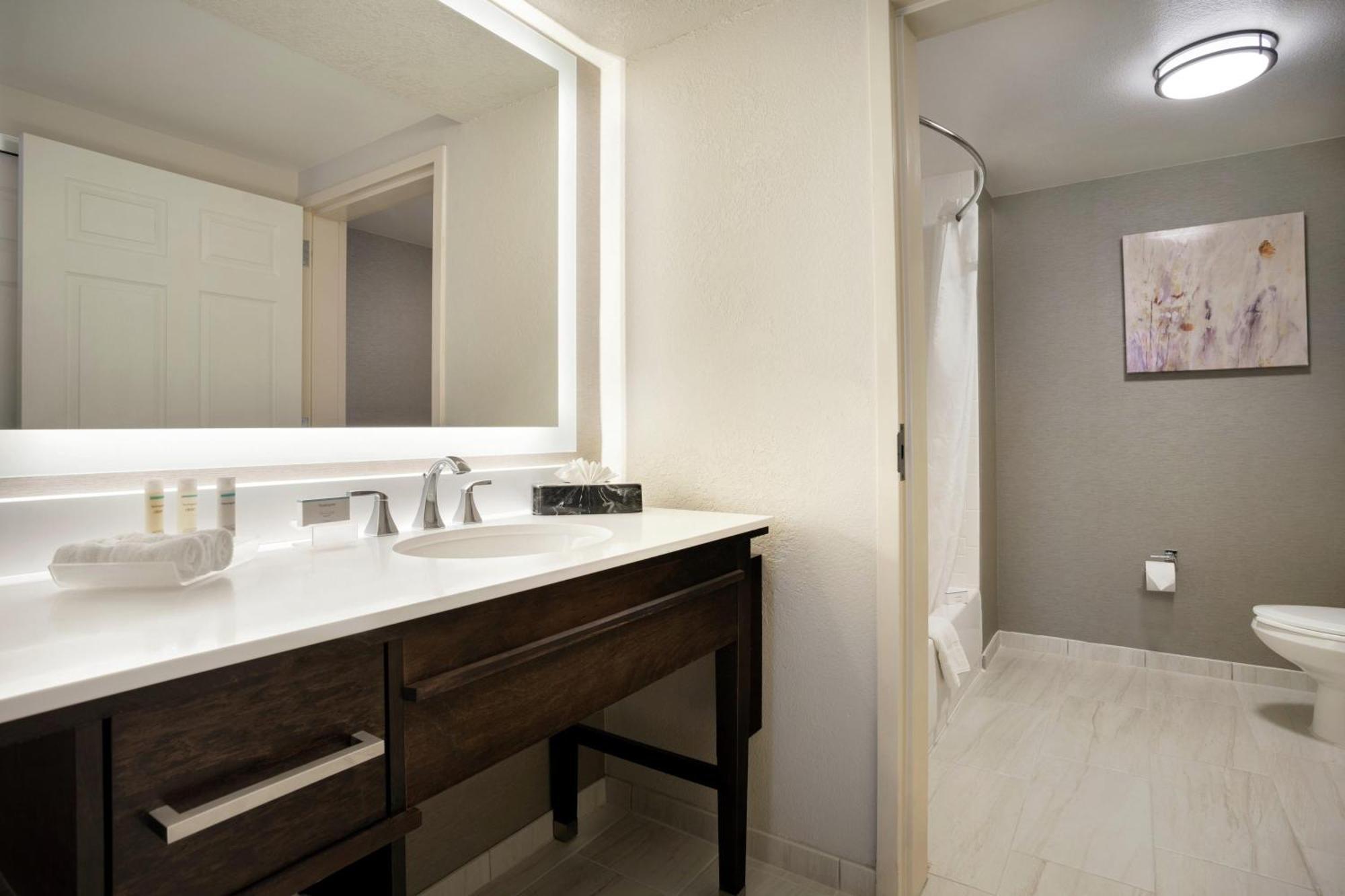One-Bedroom King Suite Non-Smoking