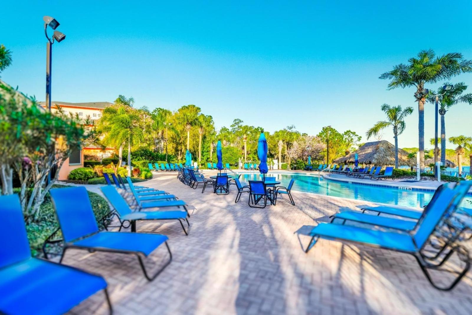 Apartment Pool View