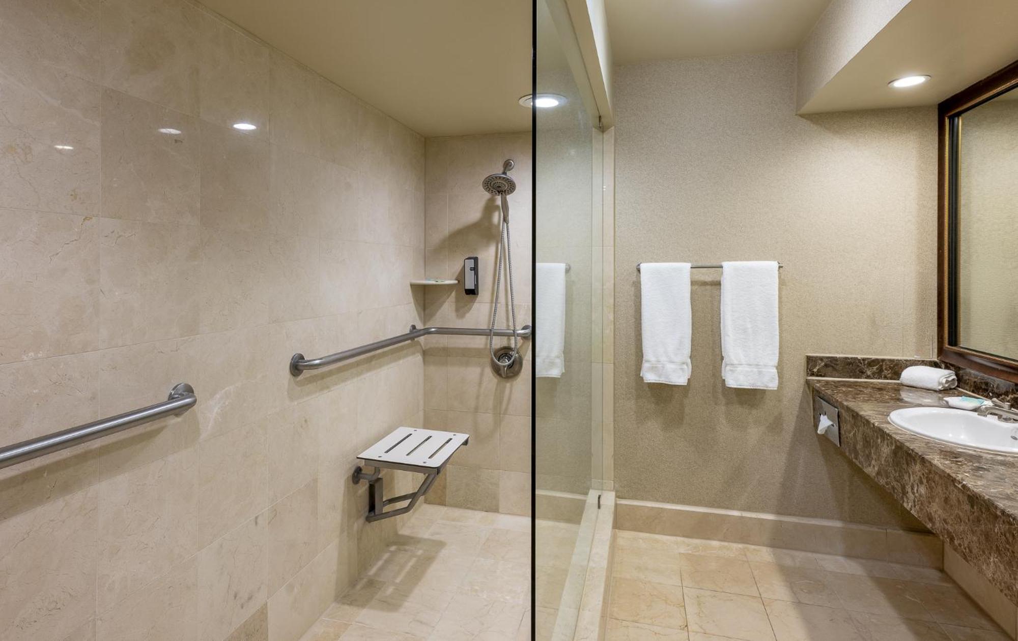 King Room Disability Access