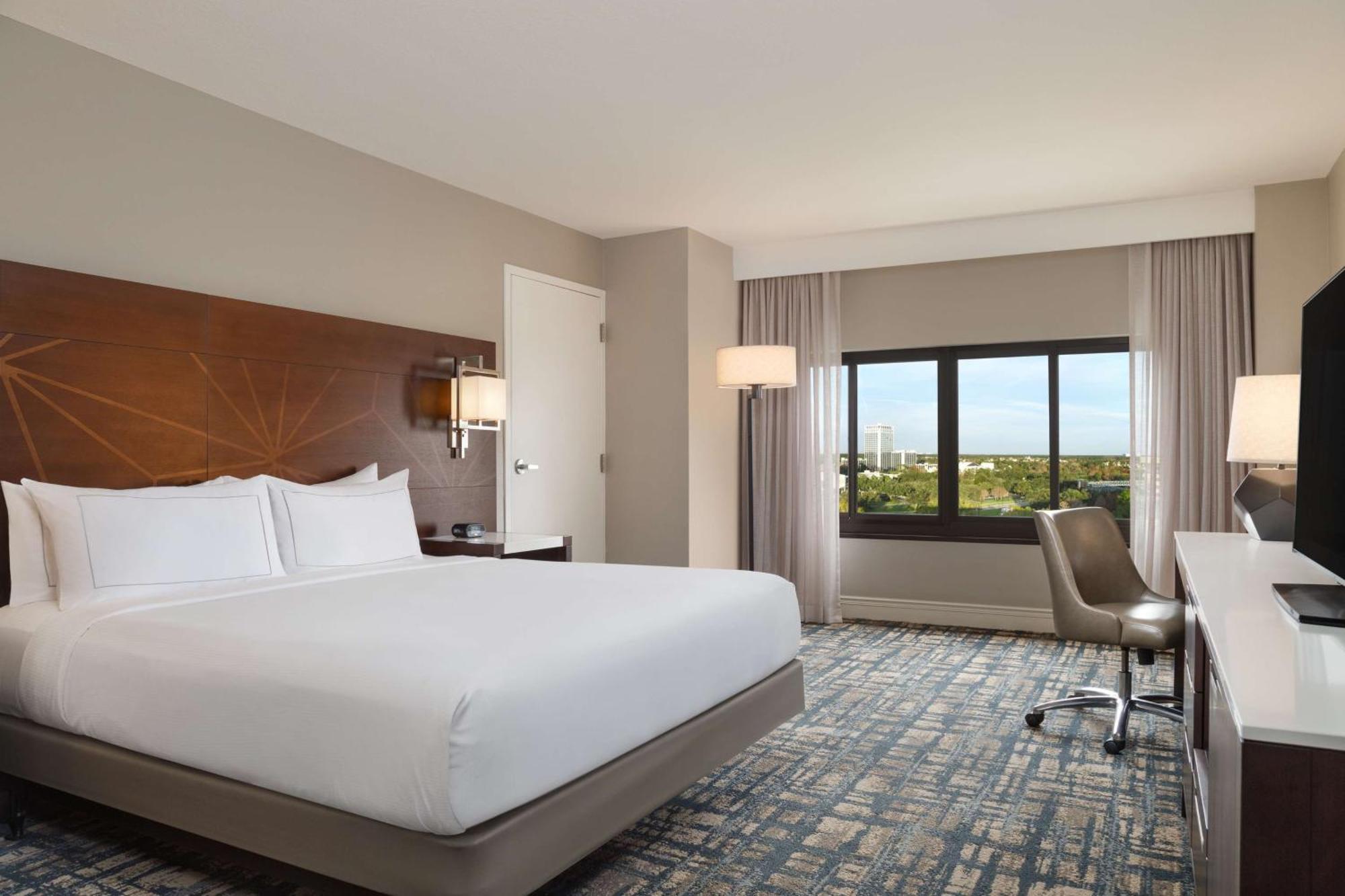 King Room Bath Tub Mobility Access