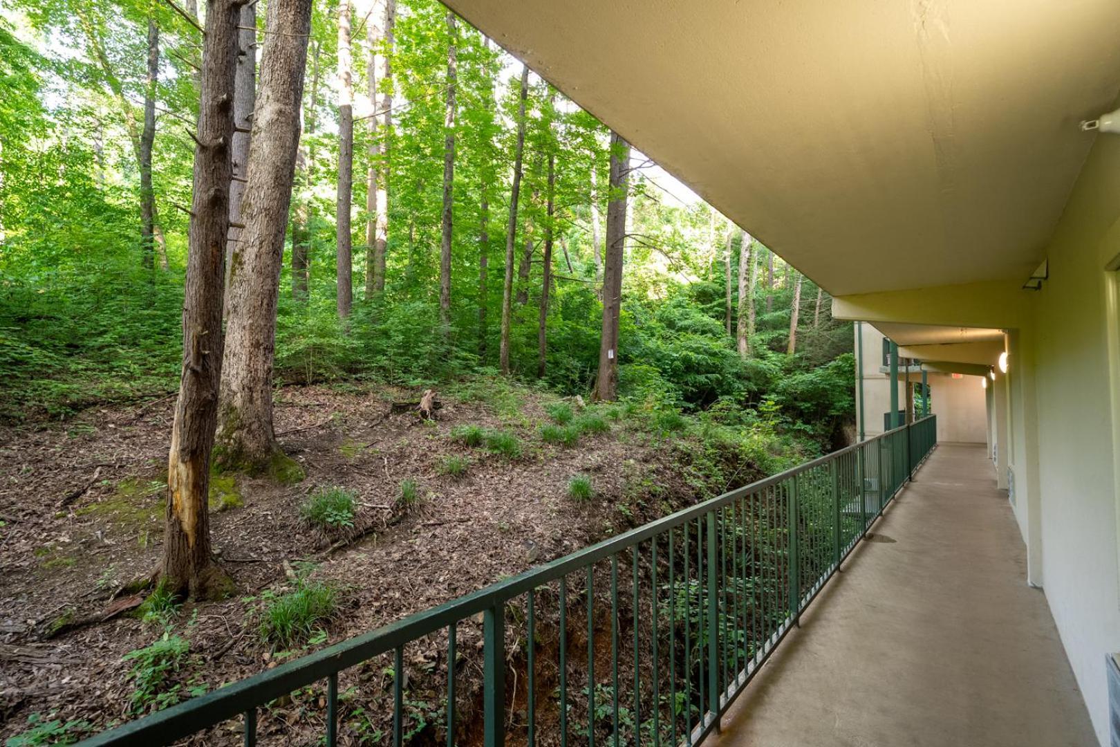 Apartment Mountain View