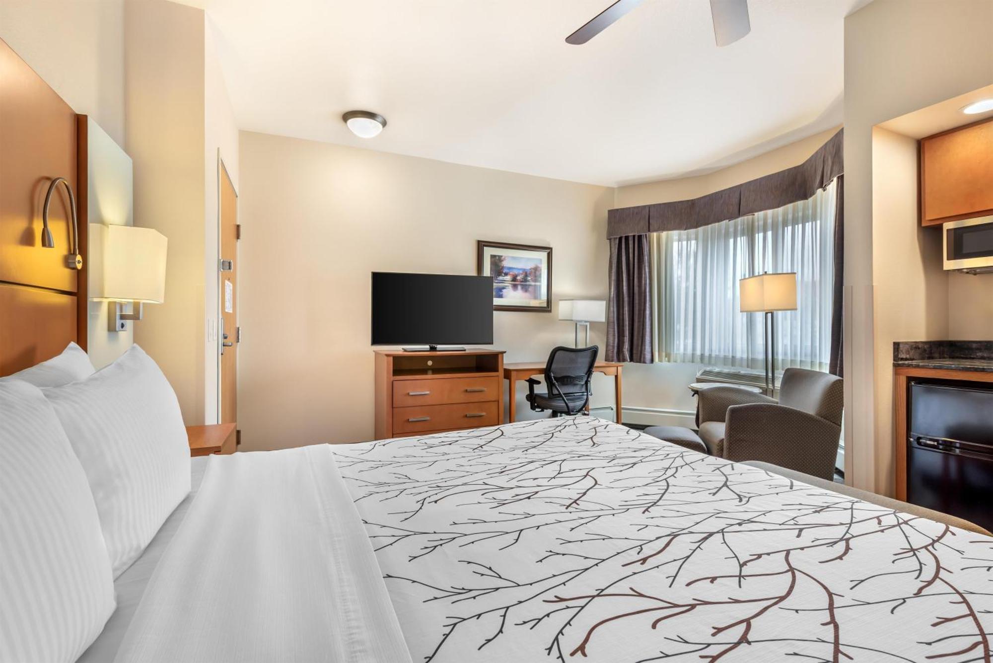 Standard King Room