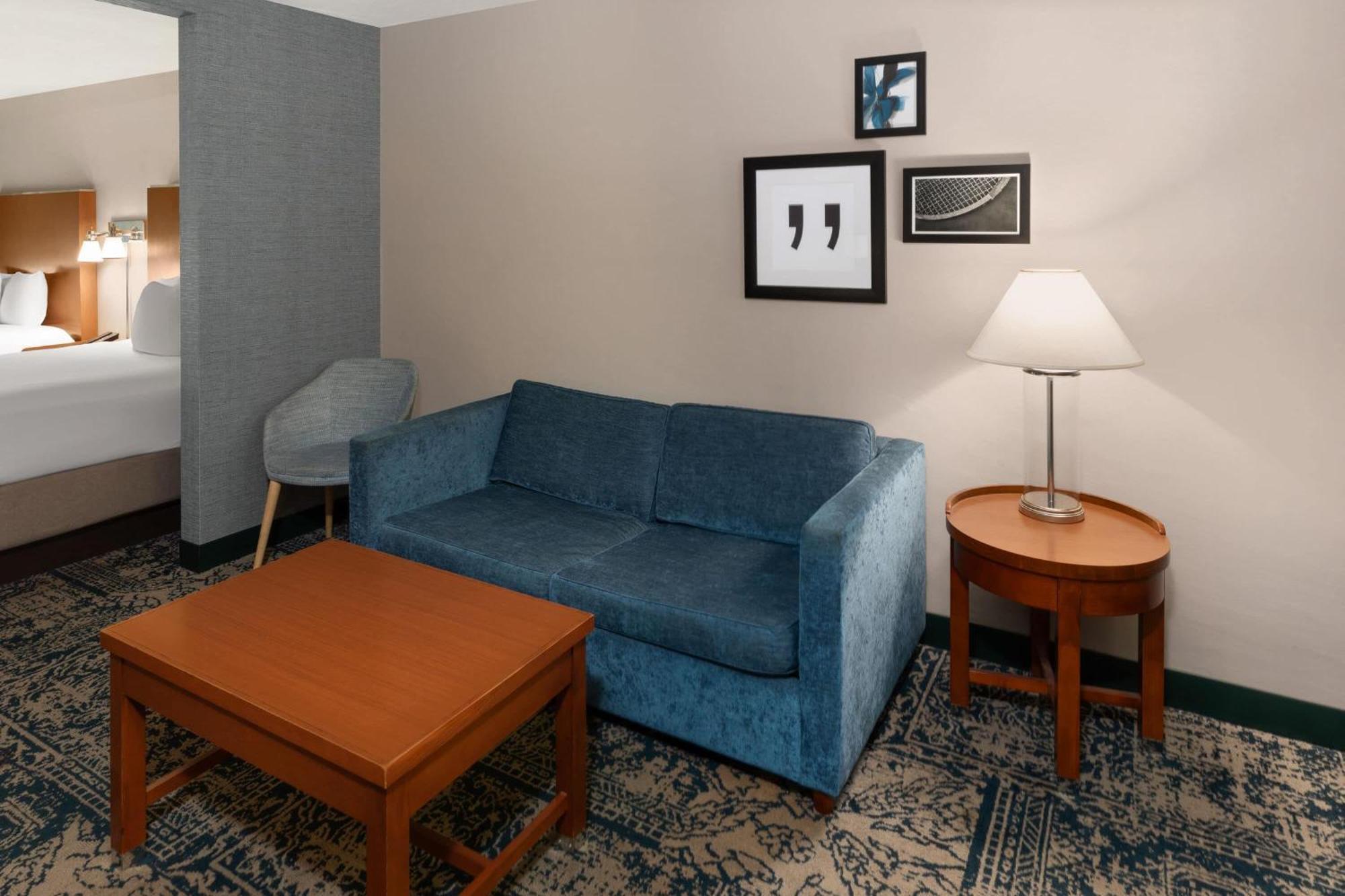 One-Bedroom Queen Suite Non-Smoking