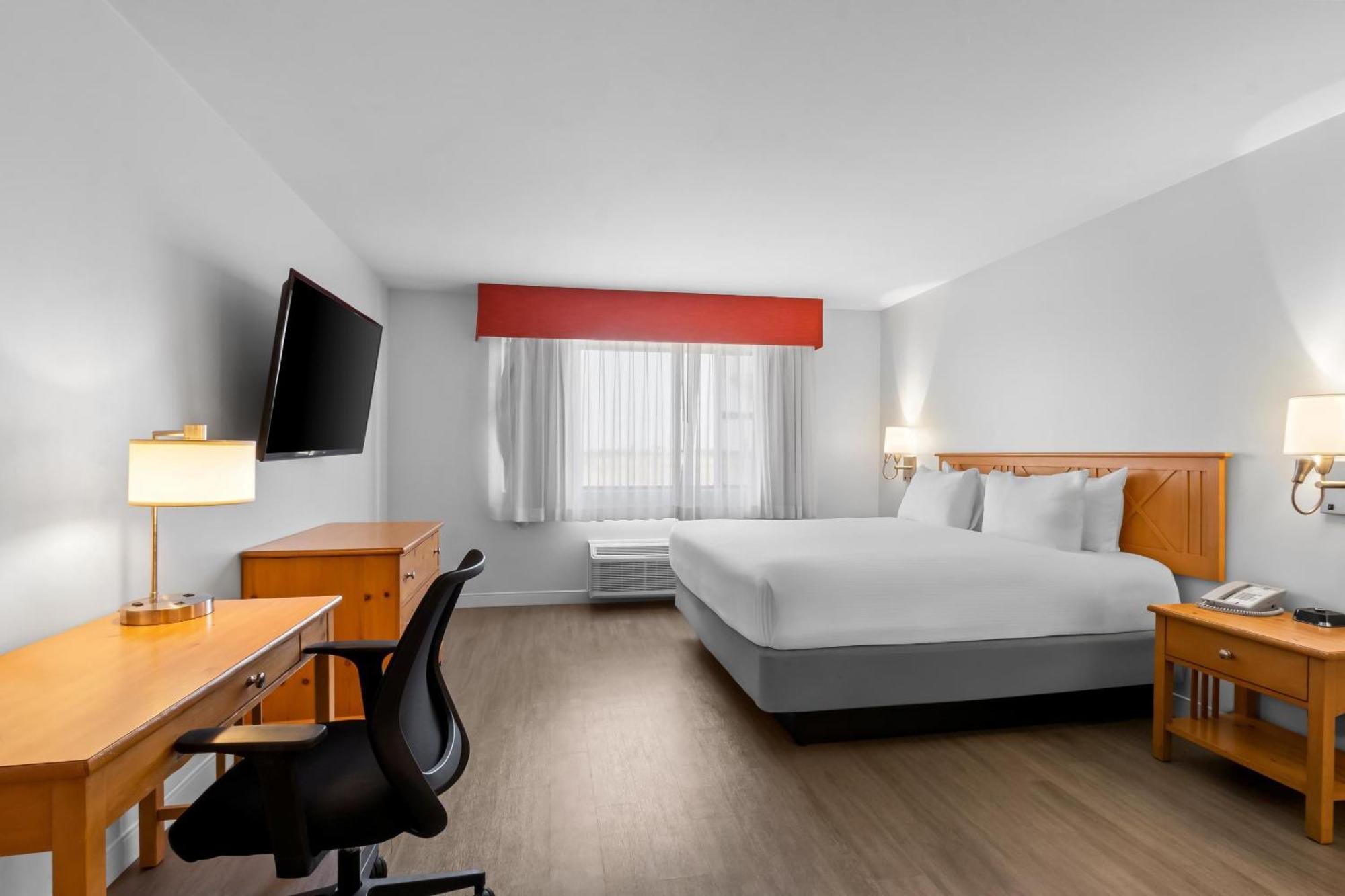 Deluxe King Room