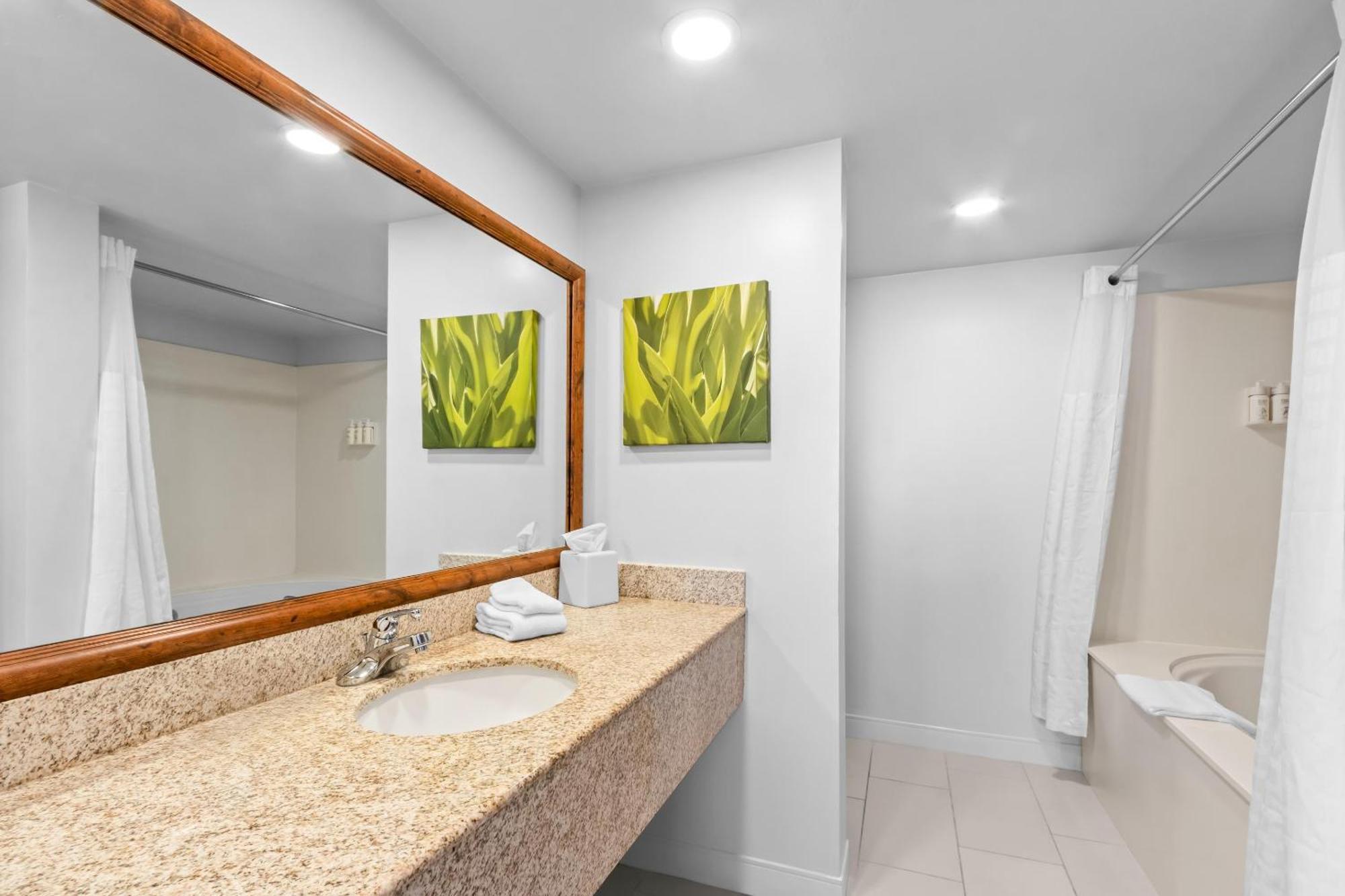 King Suite Spa Bath