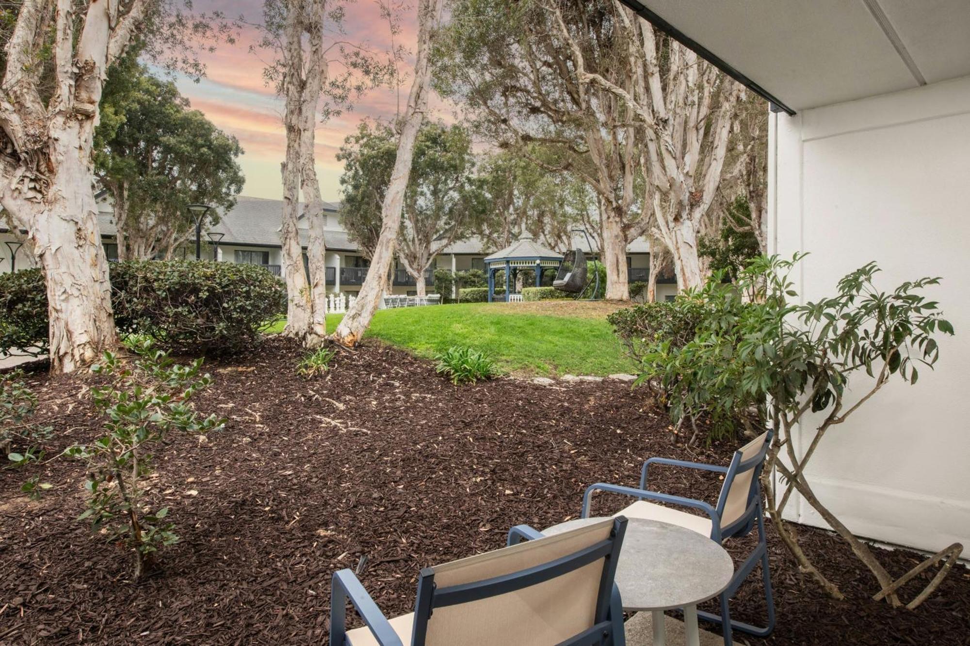 King Room Roll Shower Courtyard View Mobility Accessible
