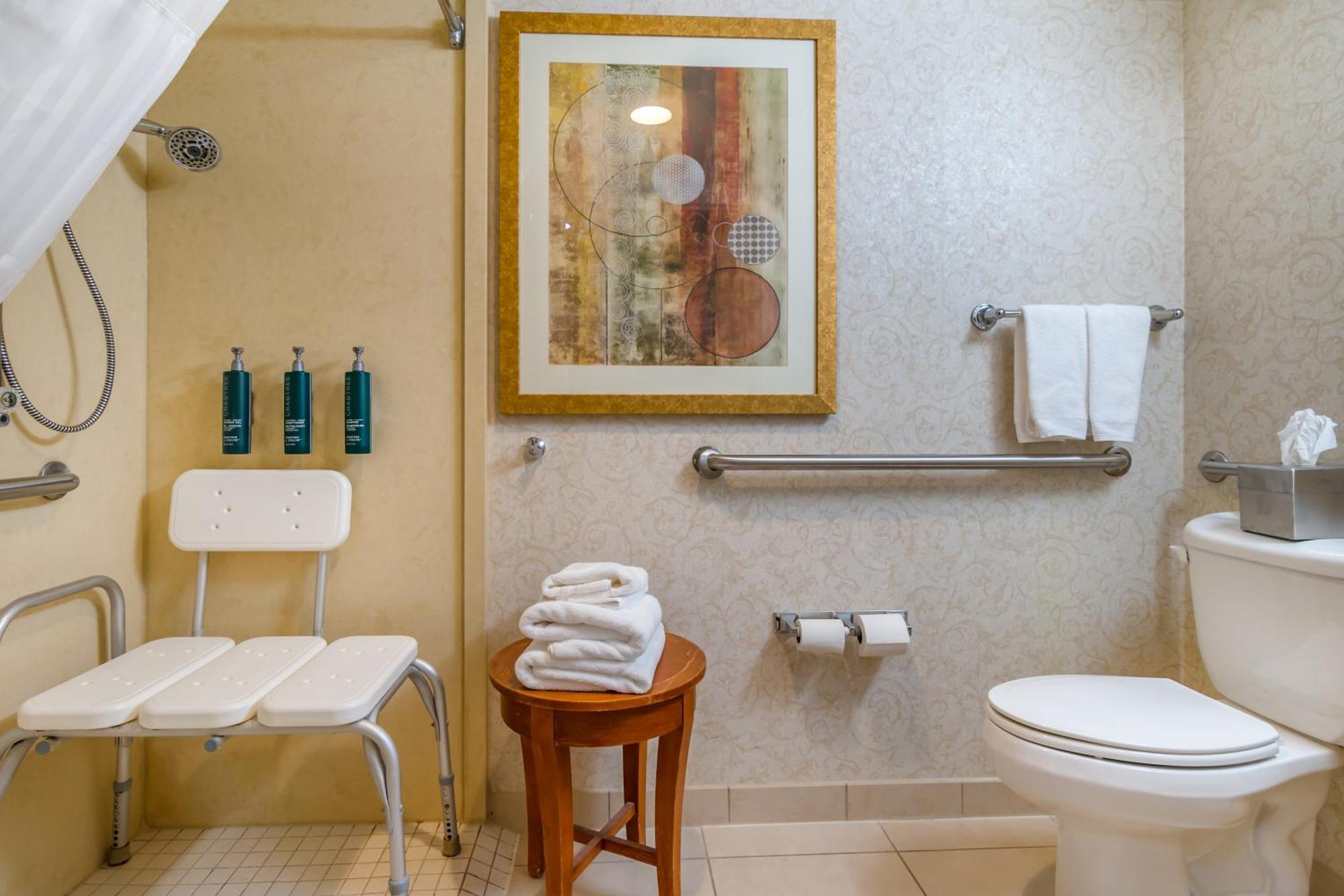 King Room Roll Shower Mobility Hearing Accessible or Non-Smoking