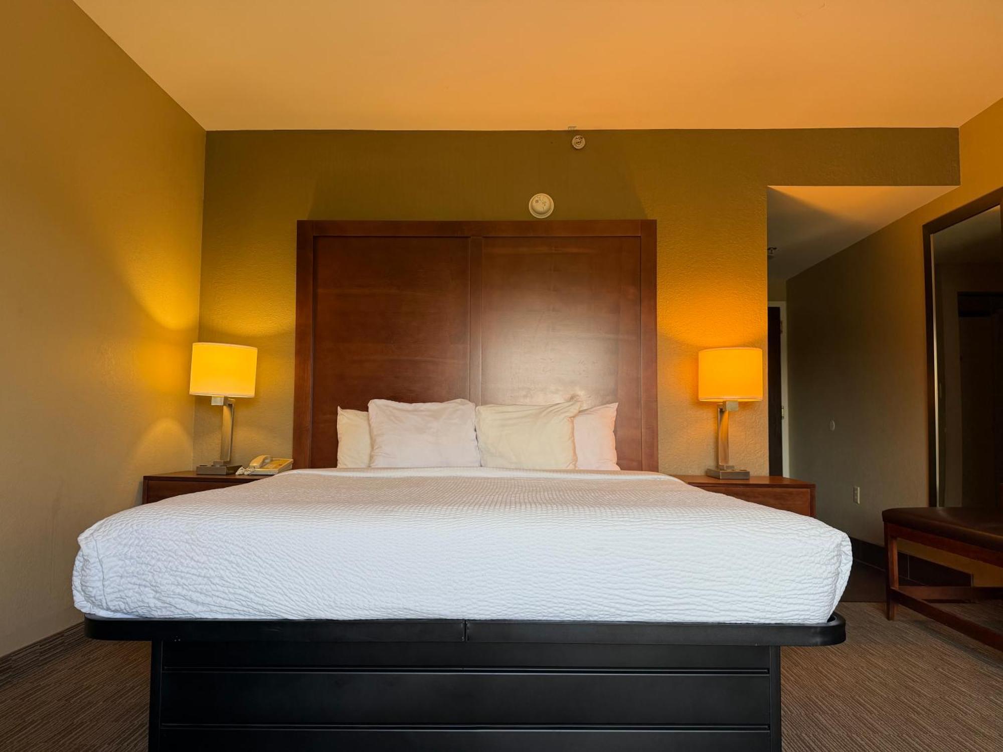 King Suite Sofa Bed Balcony Mountain View or Non-Smoking