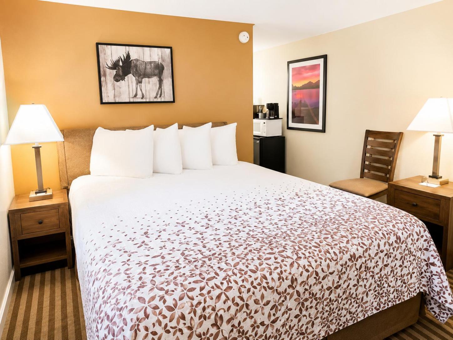 Queen Room Non Pet Friendly