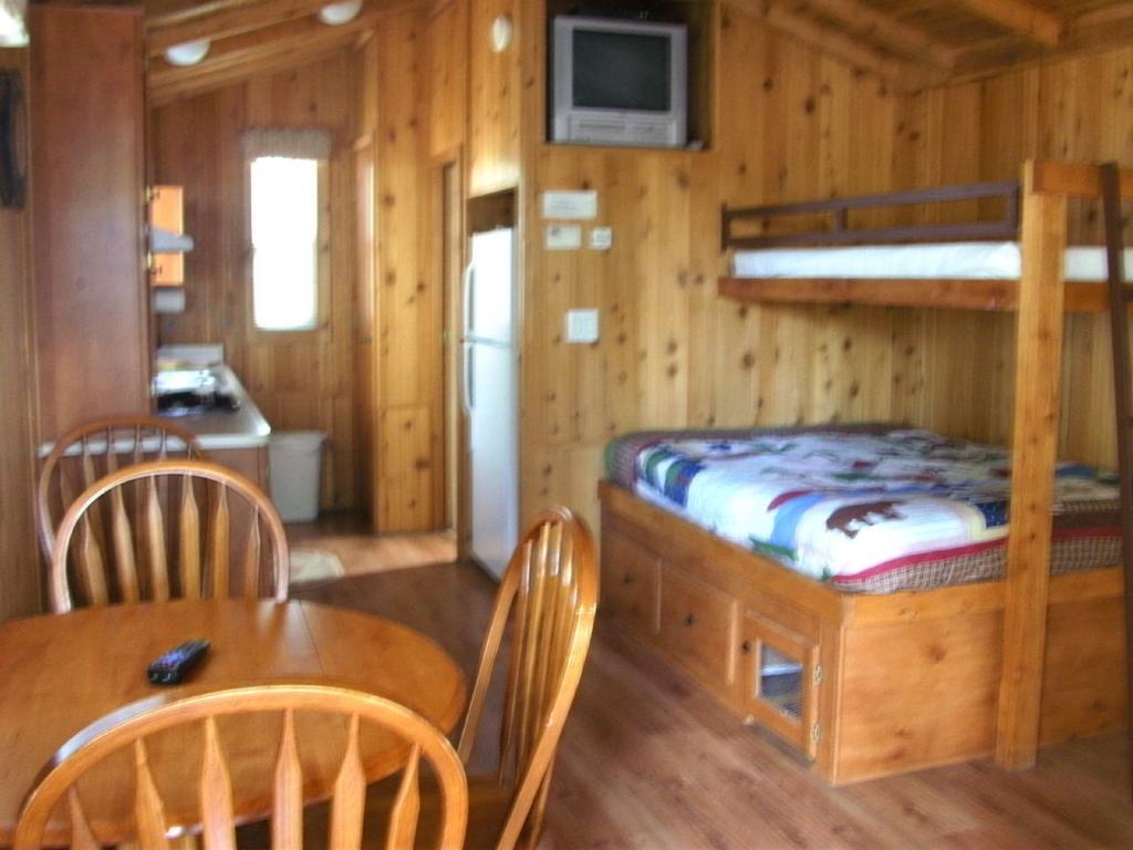 Studio Cabin