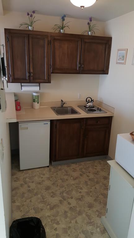 Queen Room Kitchenette Pet Friendly