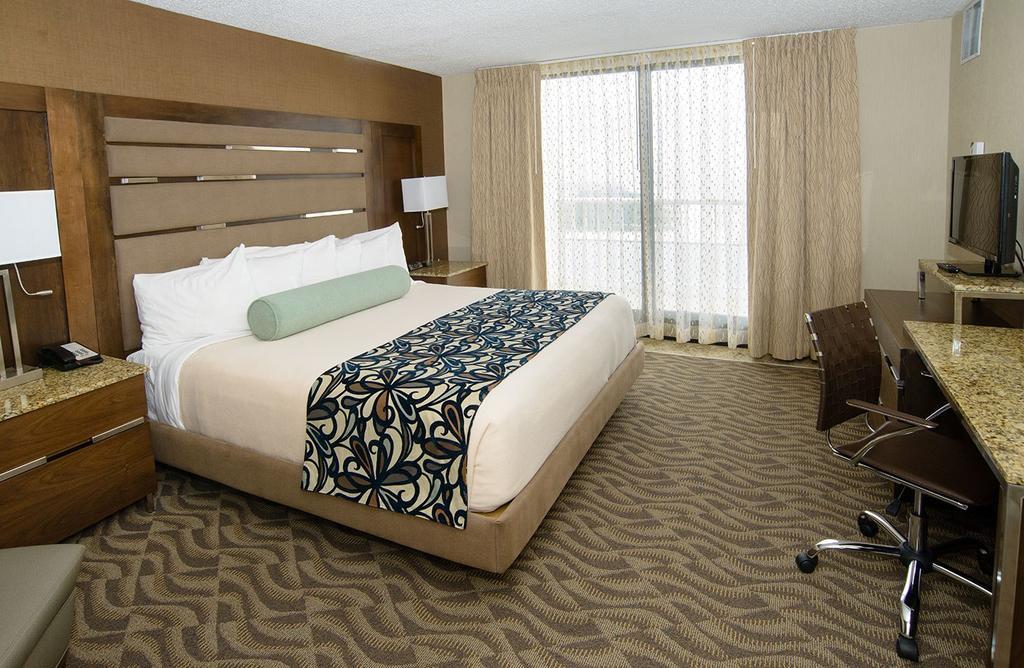 One-Bedroom Suite