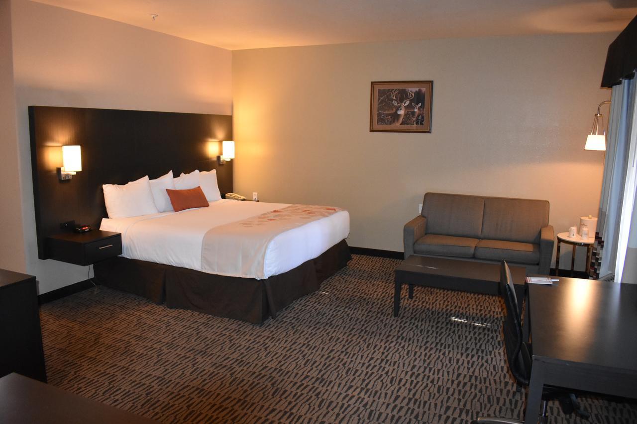 Executive King Room Non-Smoking