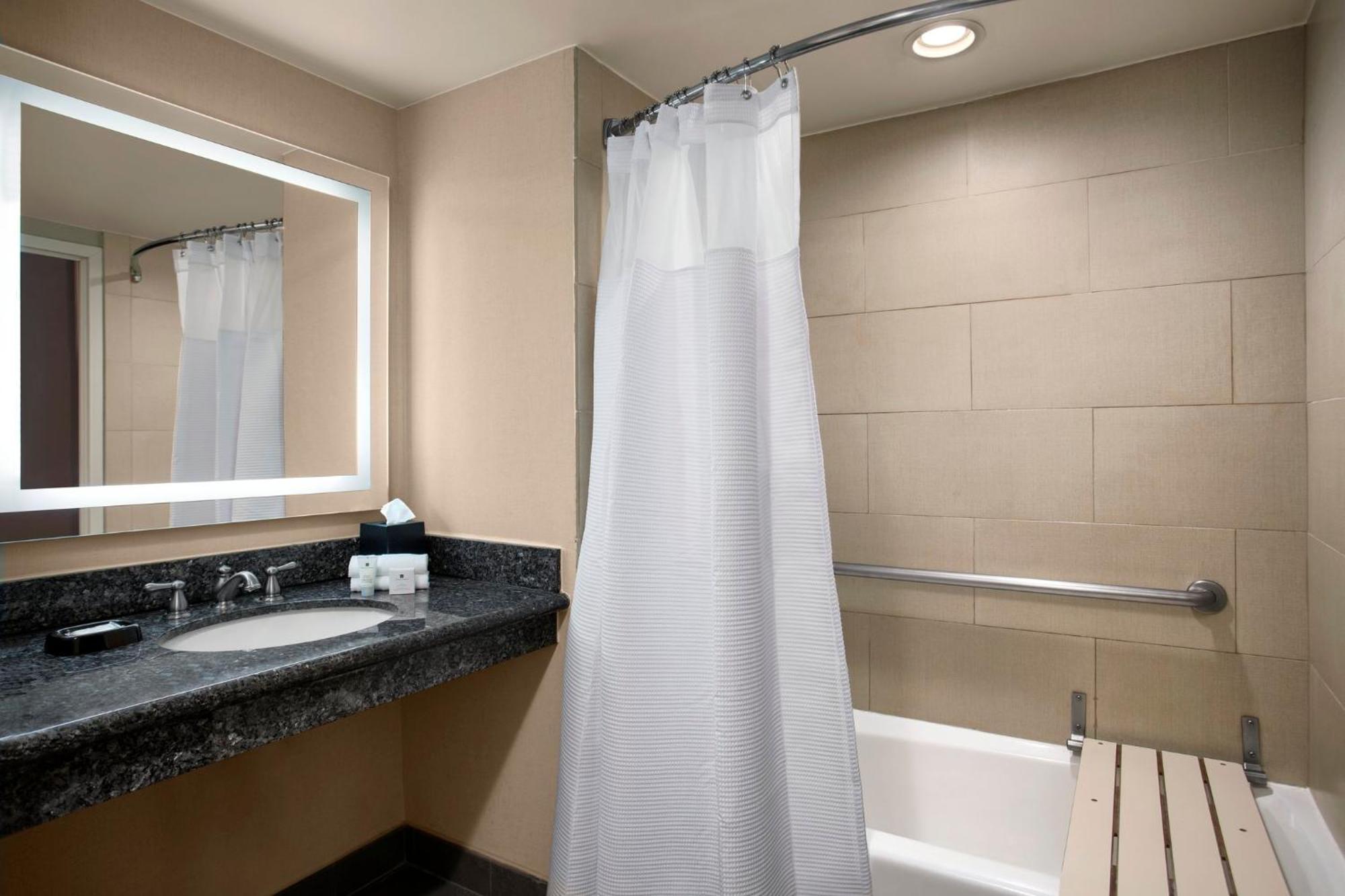 Standard King Room Accessible Tub Mobility Access