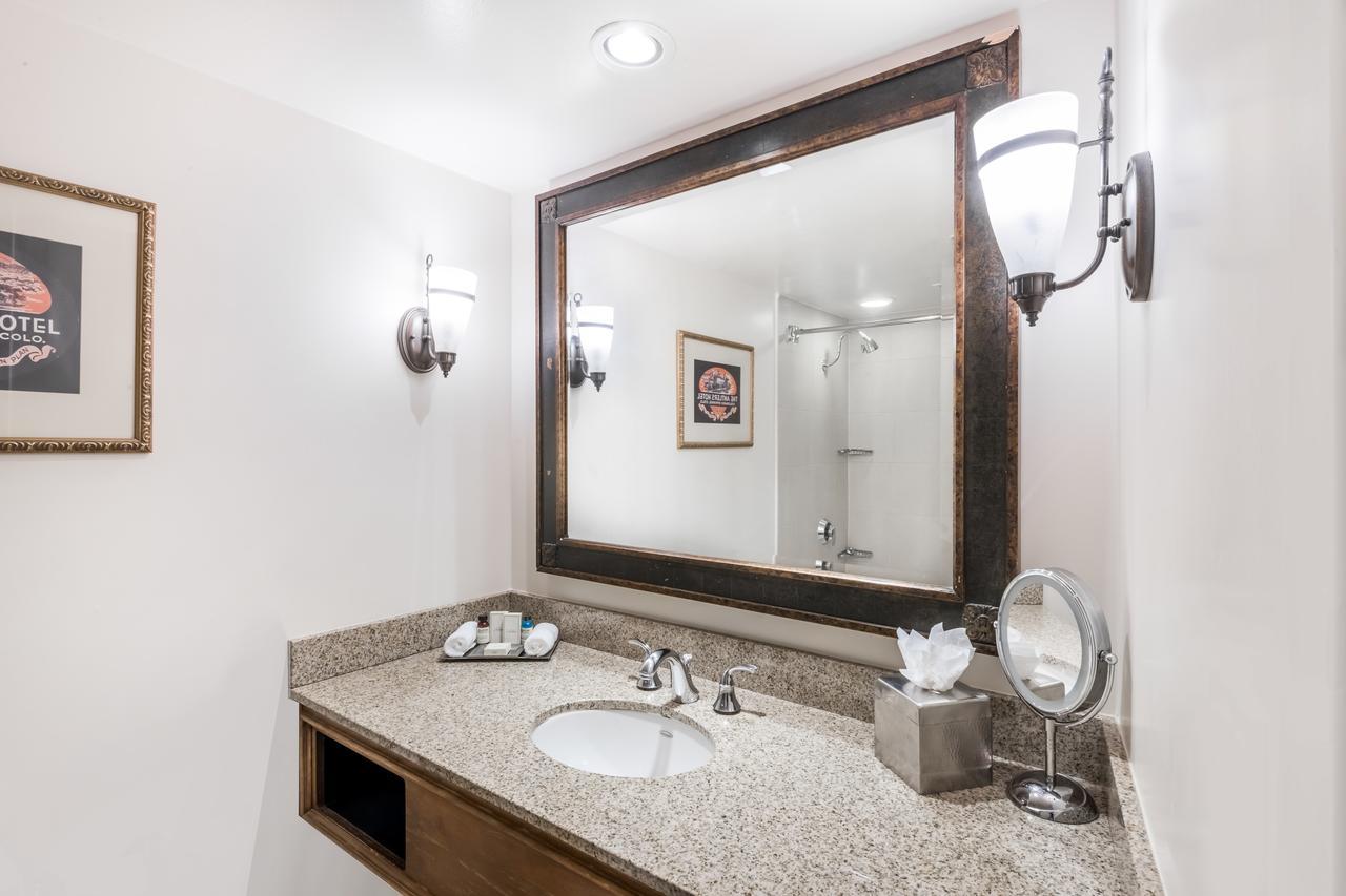 Standard King Room Roll Shower Handicap Access