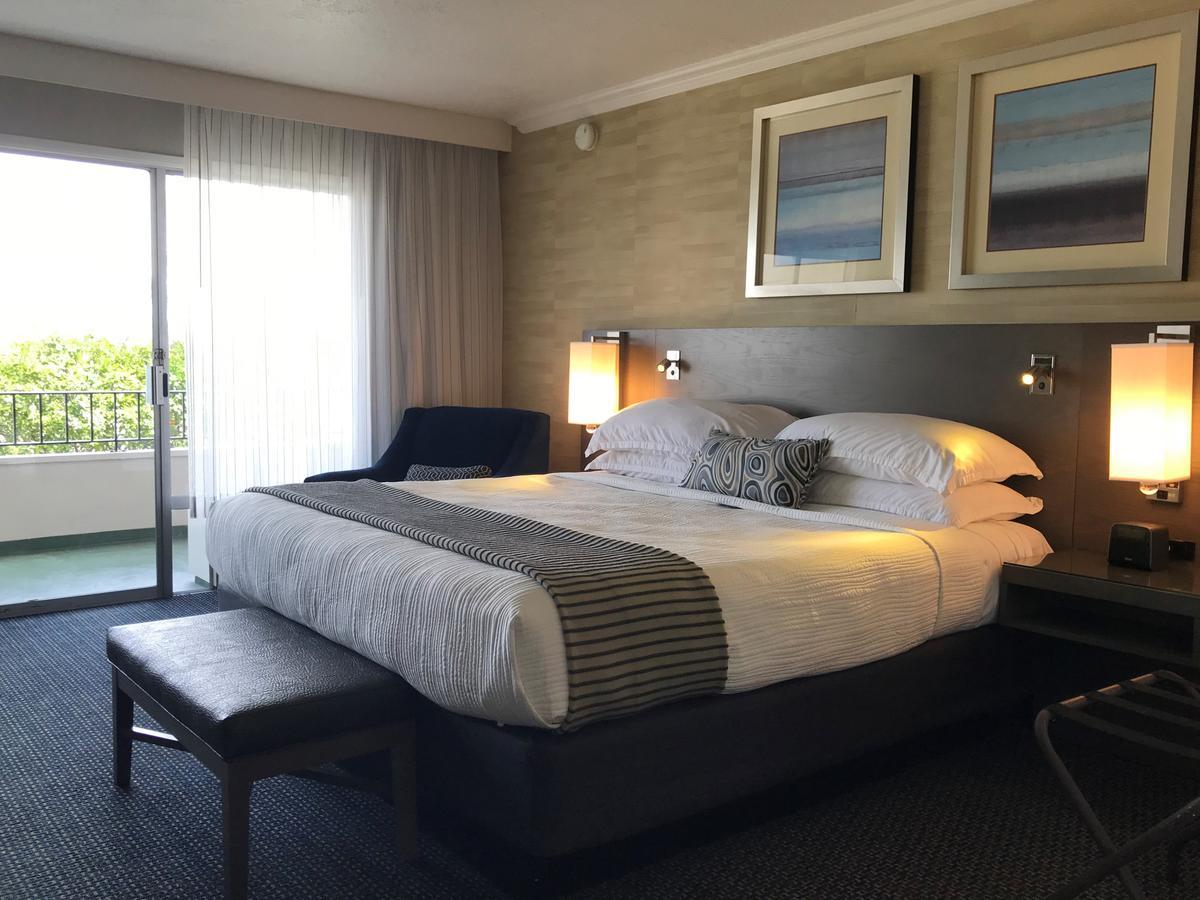 King Room Harbor View