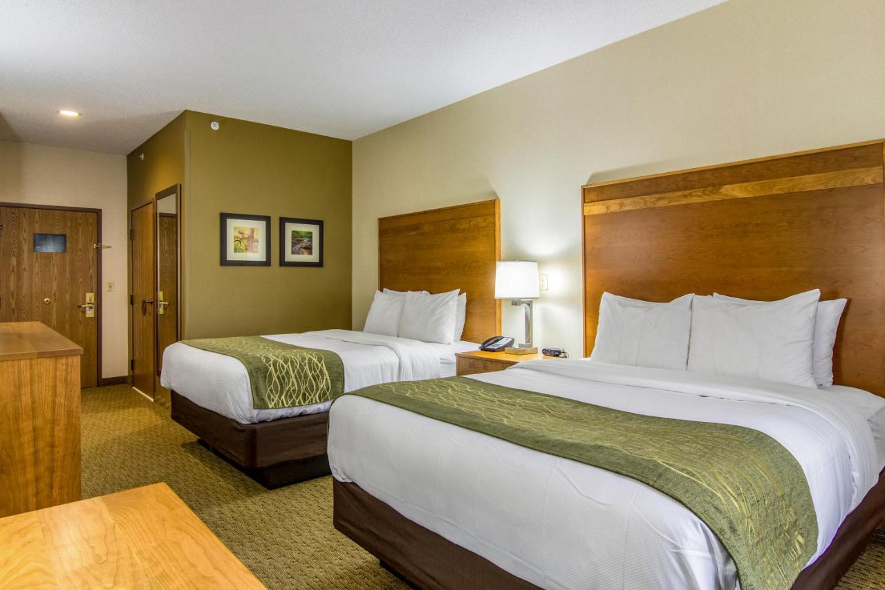 Queen Room Two Queen Beds Pet Friendly or Ground floor