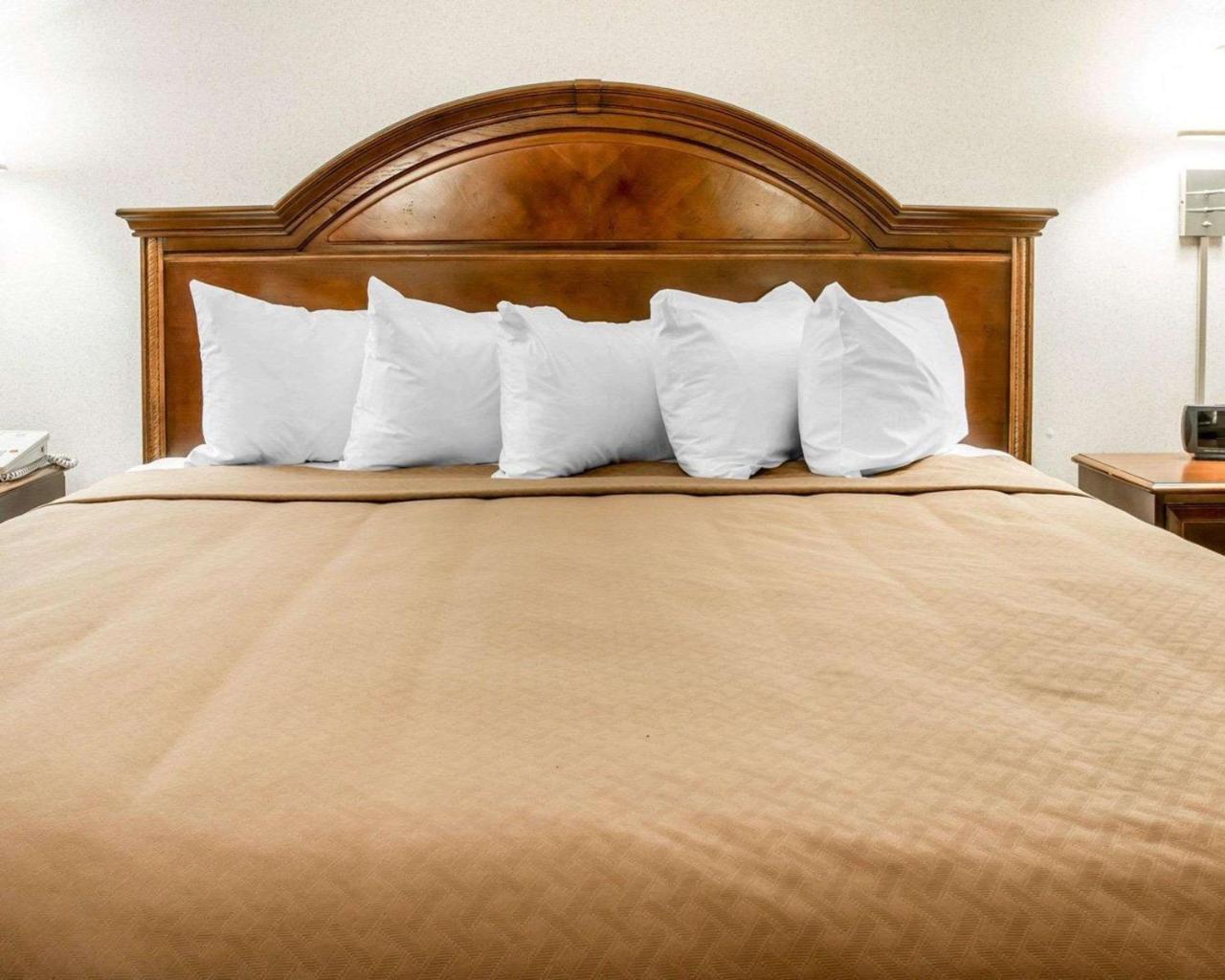 King Room Sofa Bed