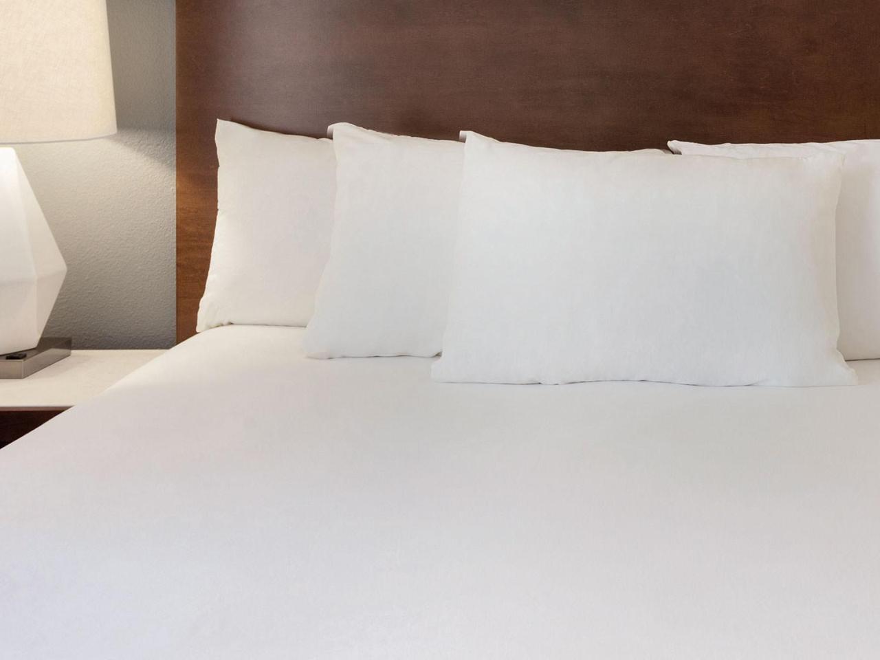 One-Bedroom King Suite Sofa Bed Non-Smoking