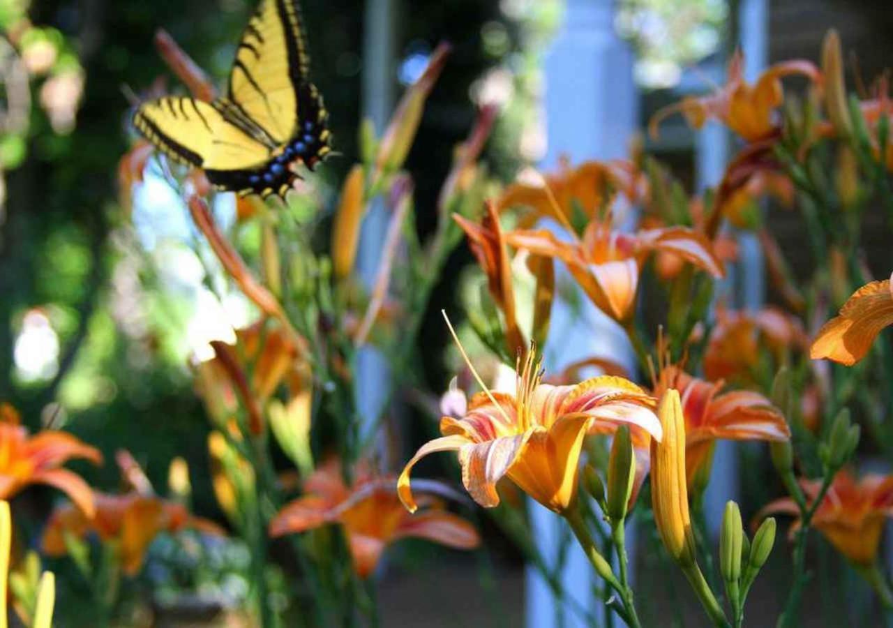 Queen Room Garden View