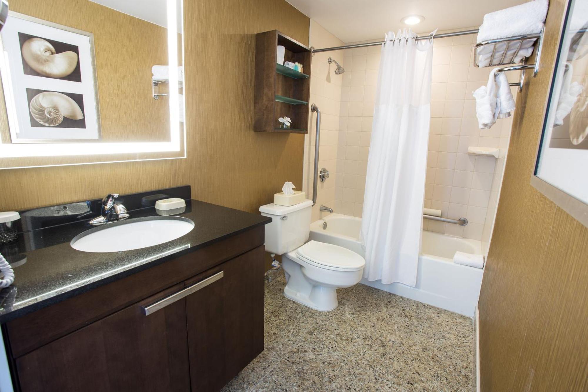 One-Bedroom Suite
