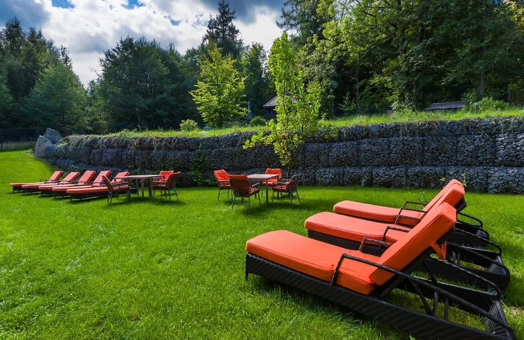 Boutique Hotel Sudetia - Medical & Spa-1