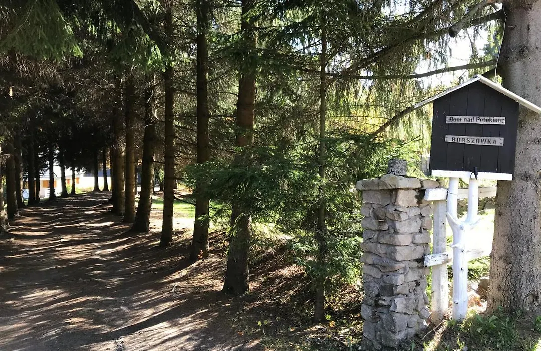 BORSZÓWKA Dom Nad Potokiem - Pensjonat-1