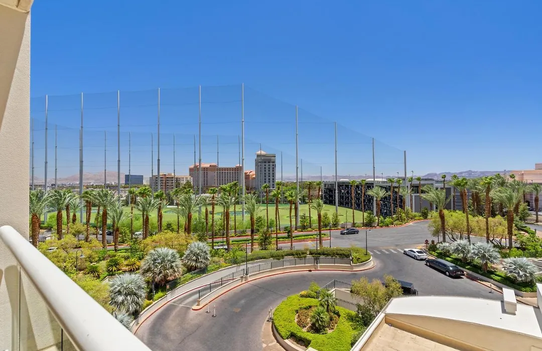 Mgm Signature Pool View-1