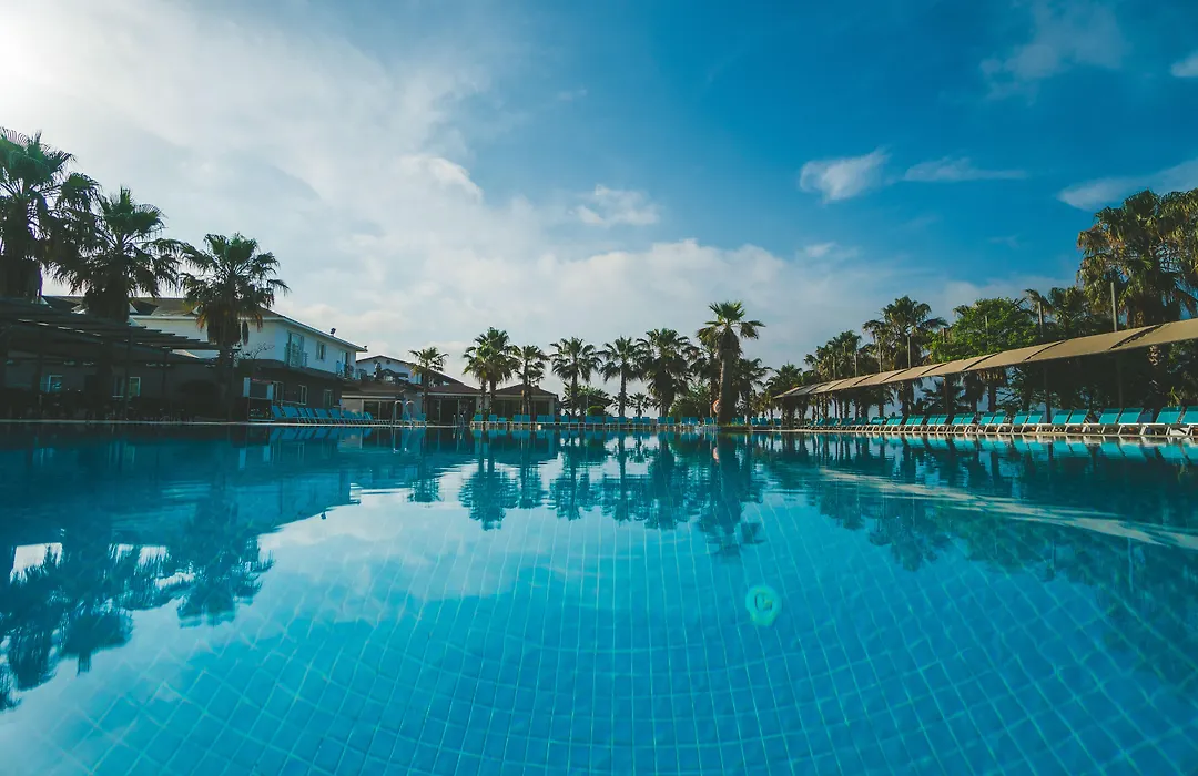 Armas Belek-1