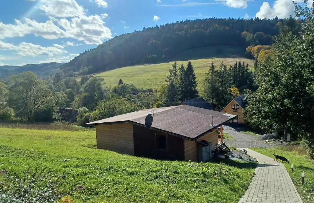 Leśny dzban-1