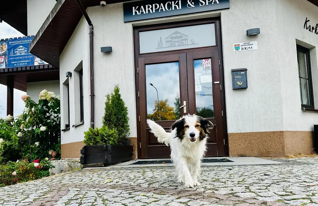 Karpacki&SPA-1