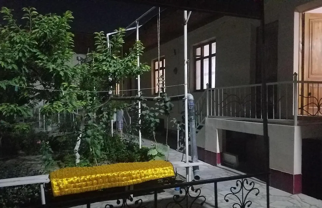 Optimist-1