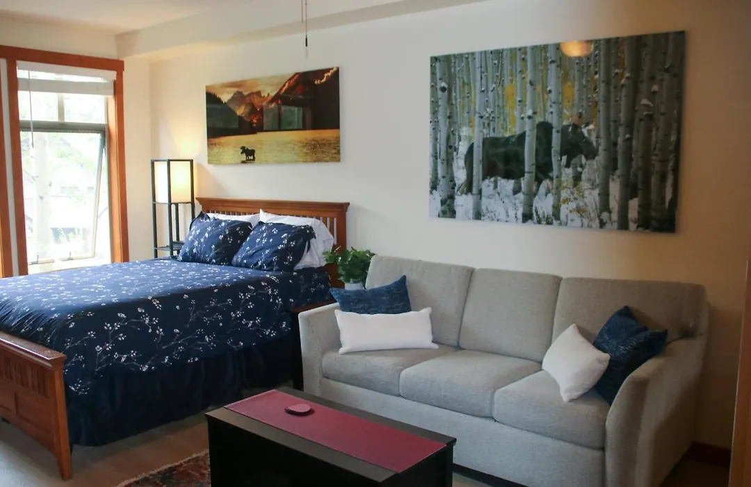 Deluxe Solitude Mountain Ski In-Out 2Bd-2Ba Condo-1