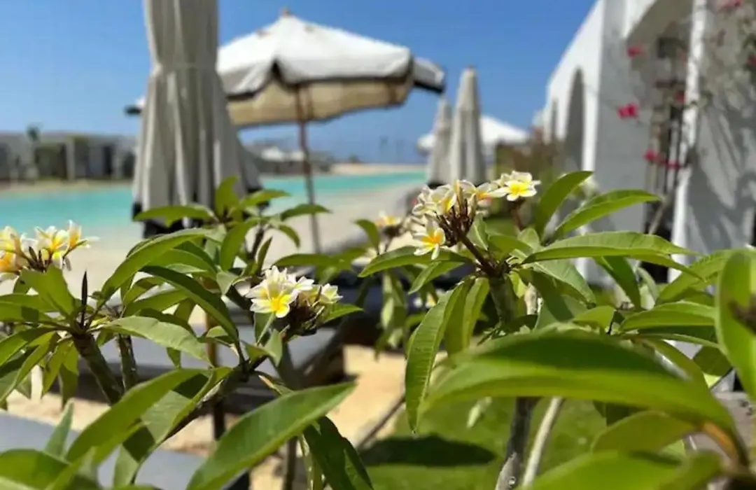 Le Sidi Cabana-1