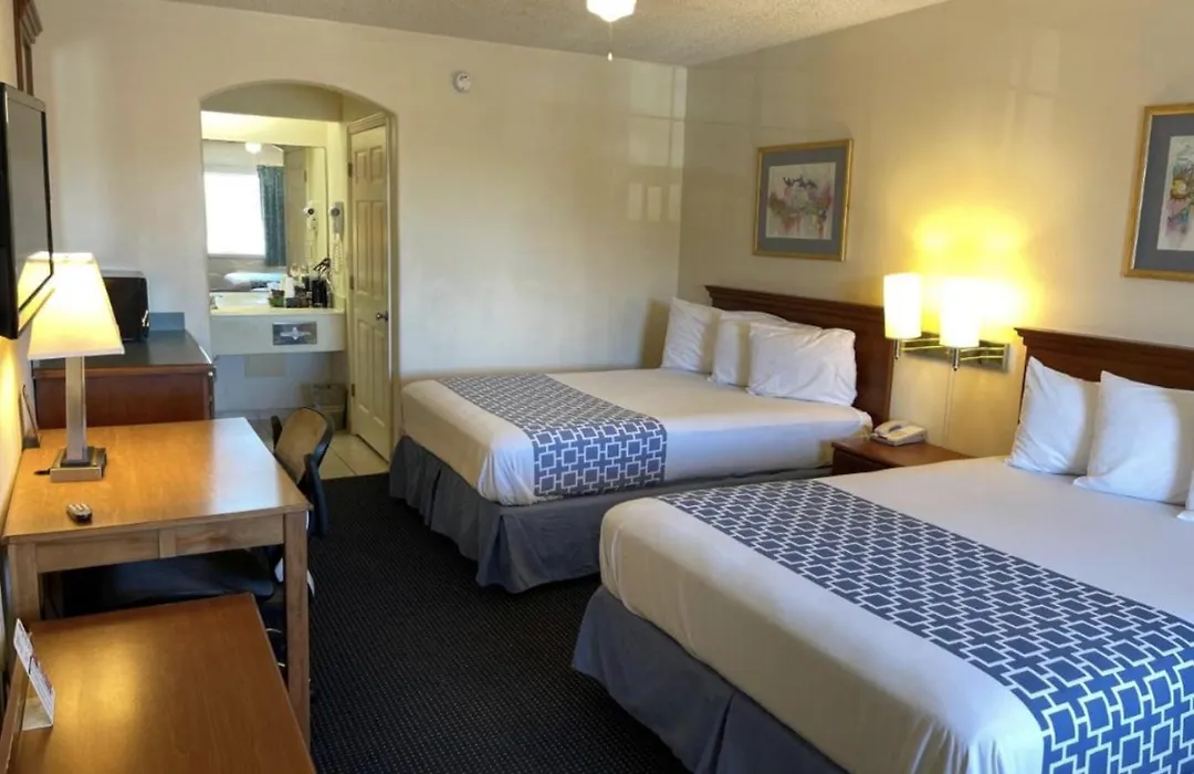 The Flamingo - South Padre Island-1