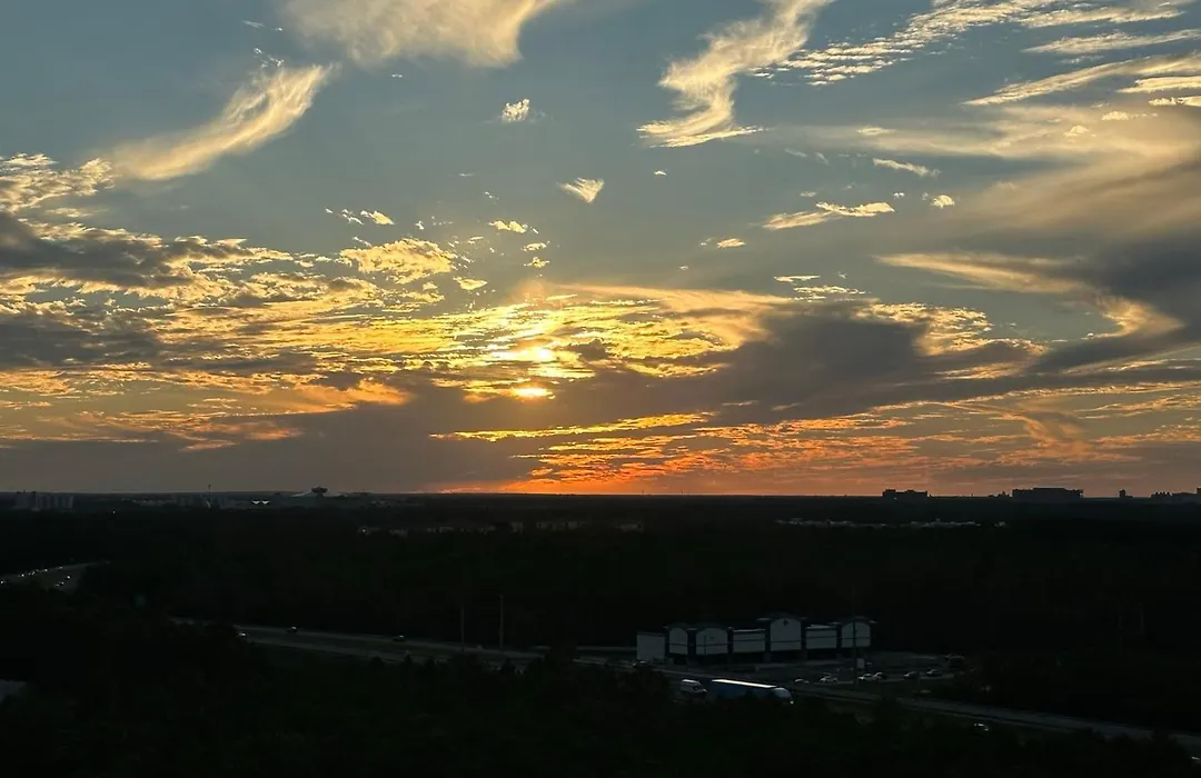 Lion King-Themed Condo Near Disney, Sea World, Universal And Occc With Pool, Spa, Restaurants, Shuttle, Private Balcony, And The Best View Of Fireworks Shows-1