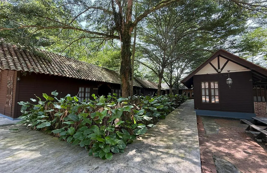 Fresia Villa & Camping-1