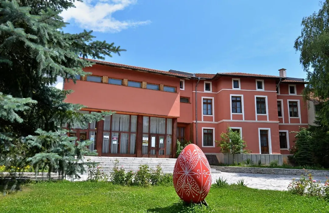 Beluga Guest House-1