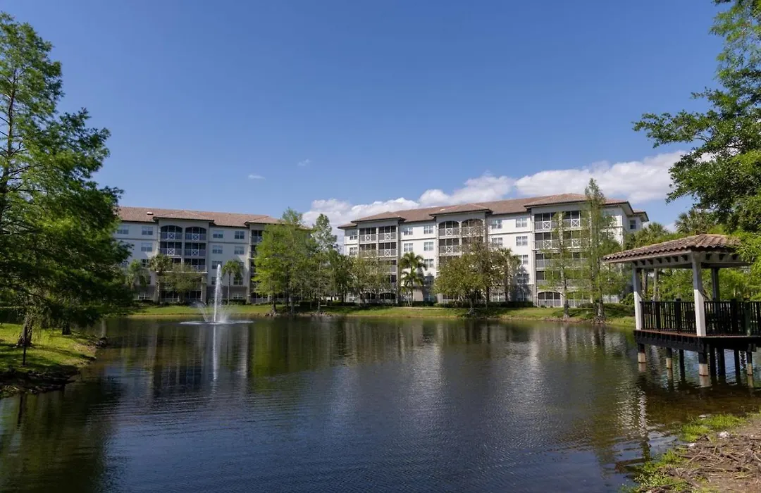 Sheraton Vistana Villages-1