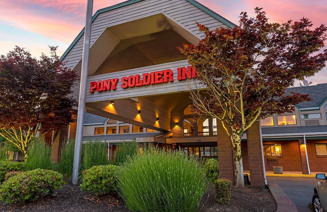 Best Western Pony Soldier-1