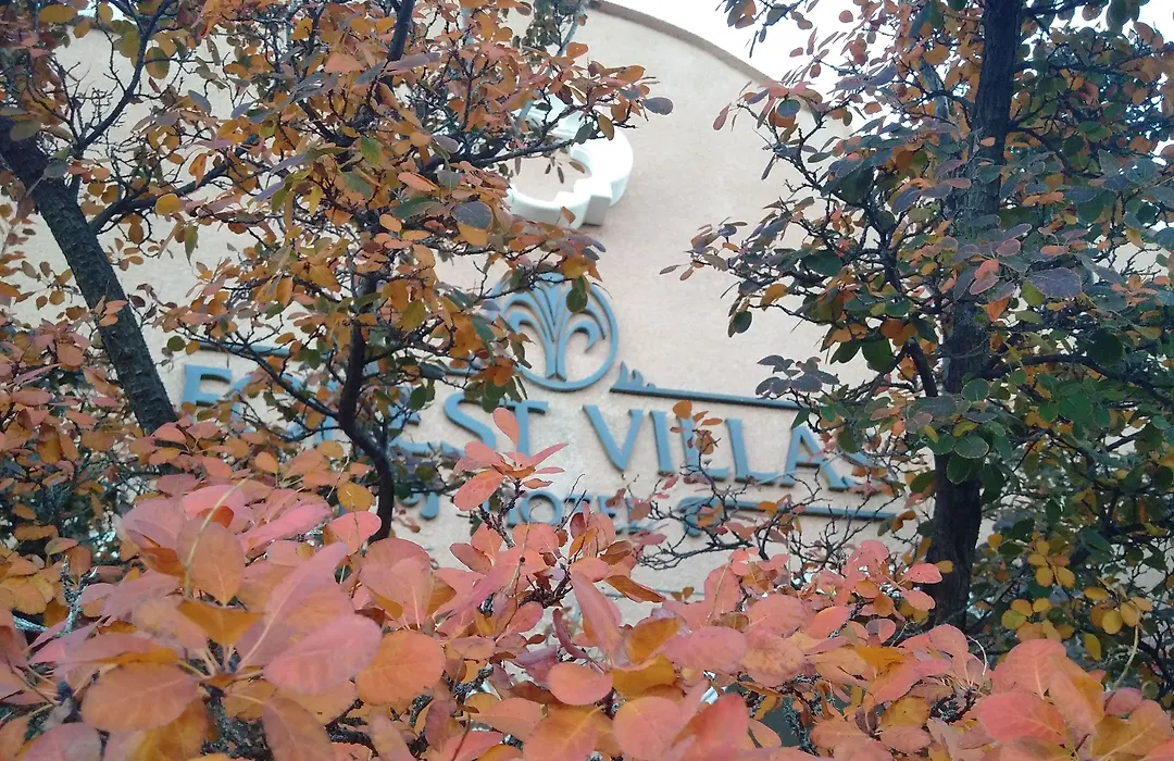Forest Villas Hotel-1