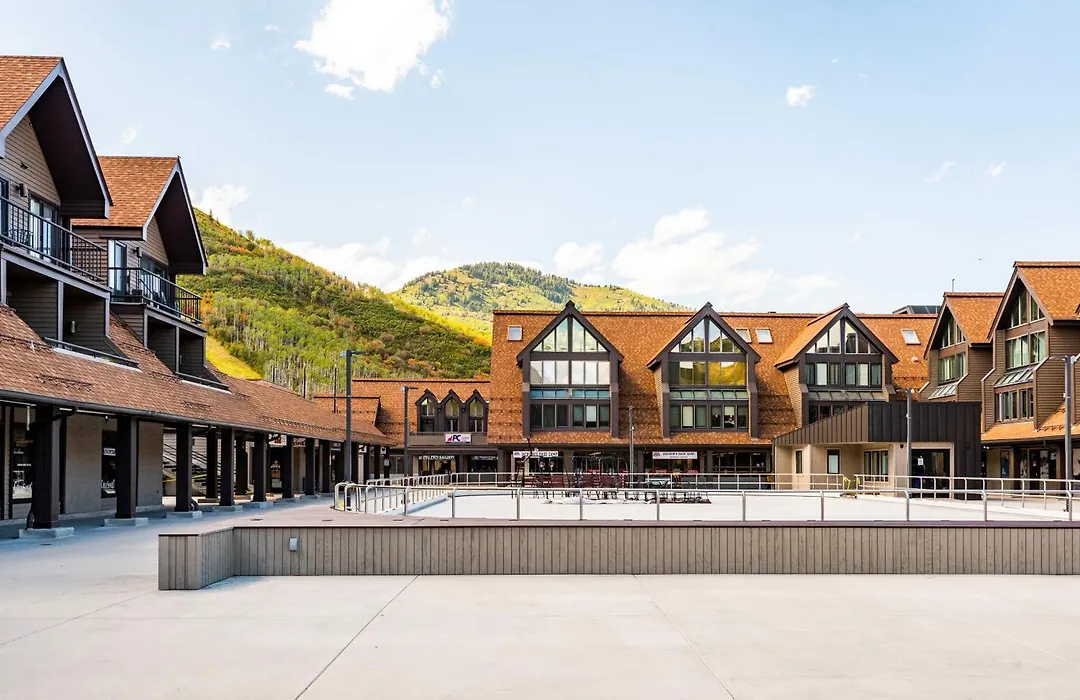 Mountain Village Studio #225-1