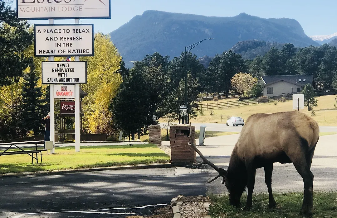 Estes Mountain Inn-1