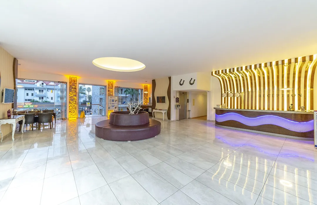 Alenz Suite-1