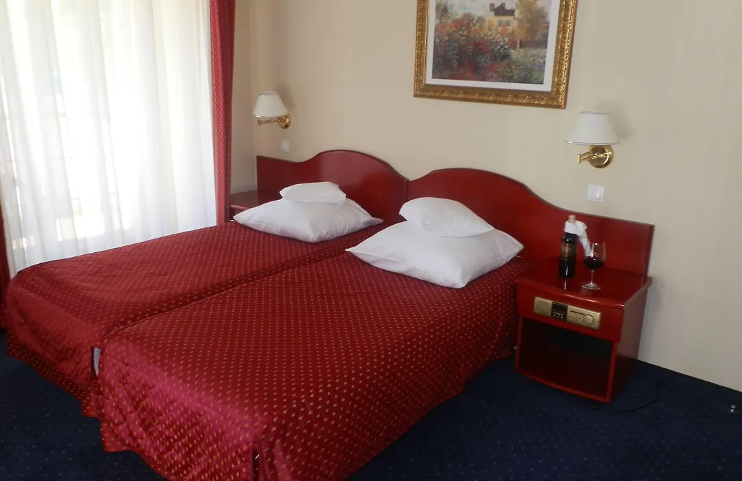 Willa Alexander Resort&SPA - caloroczny kryty BASEN-1