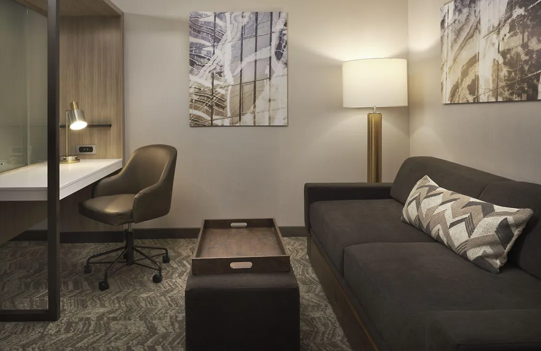Springhill Suites By Marriott Las Vegas Airport-1