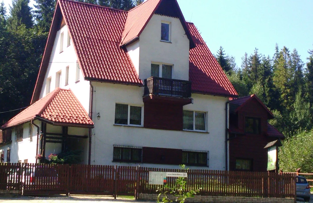 Domlesny-1