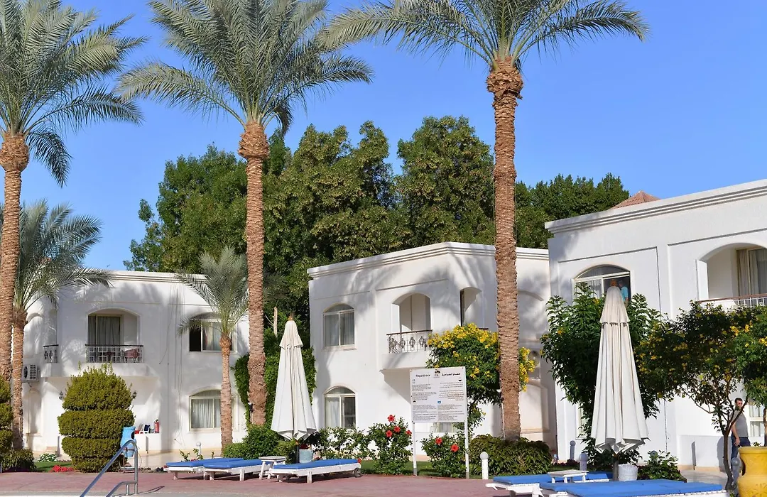 Viva Suites Sharm El Sheikh-1