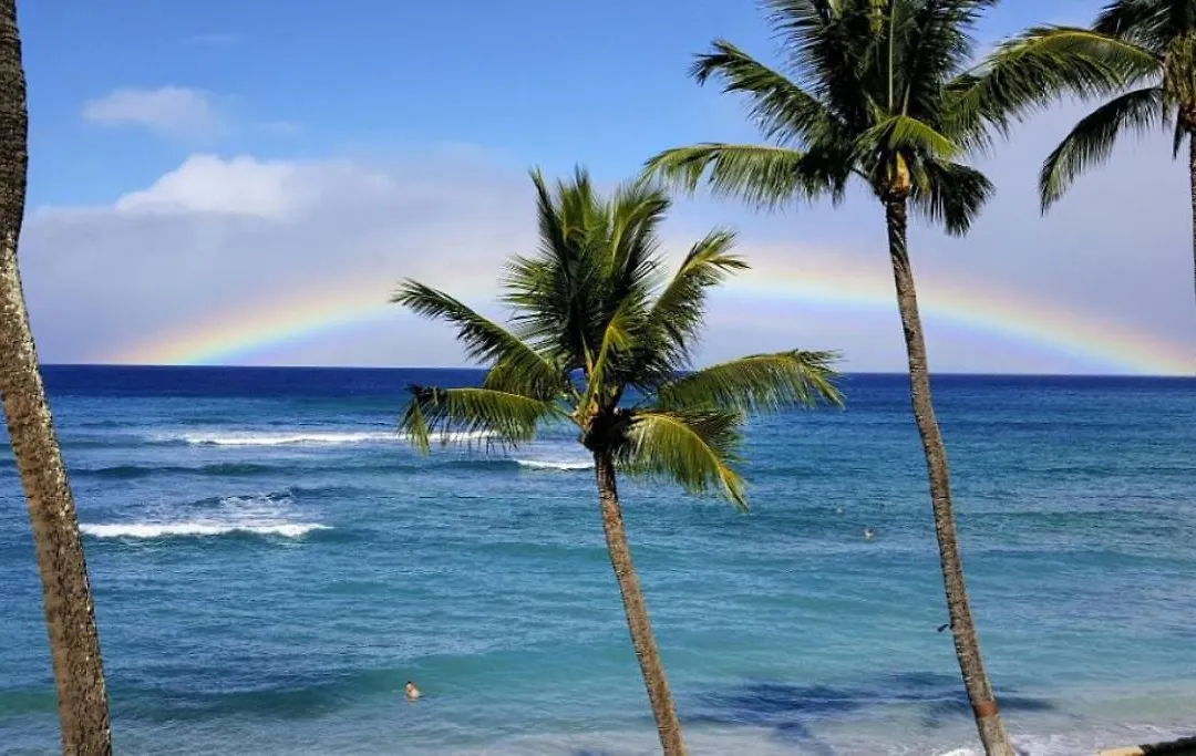 Oceanfront With Private Beach! Hale Mahina Beach Resort A206-1